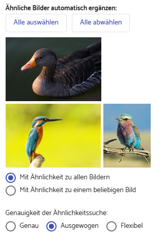 Screenshot: Ähnliche Bilder automatisch ergänzen