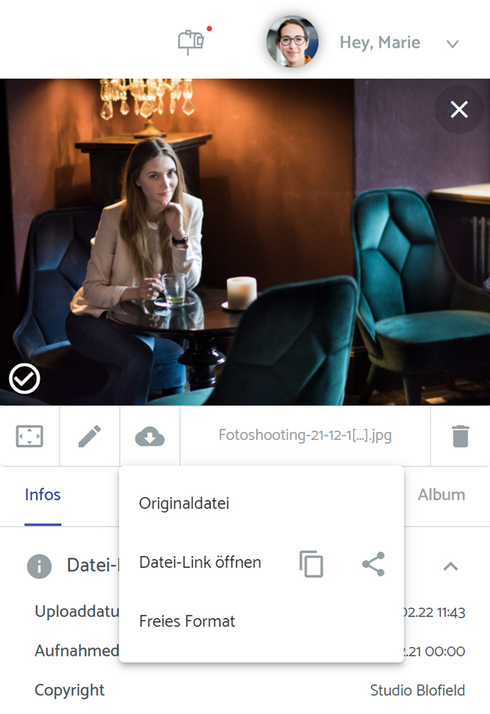 Dateien per Link teilen - mit der professionellen Medienverwaltung von teamnext