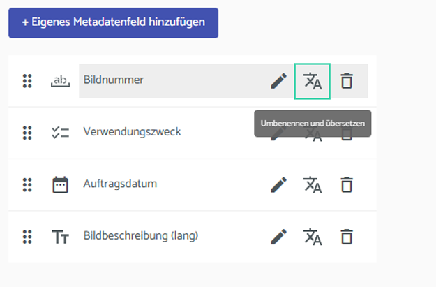 Screenshot der Einstellungen für Eigene Metadaten: Übersetzung für Metadatenfeld anlegen - Media Hub