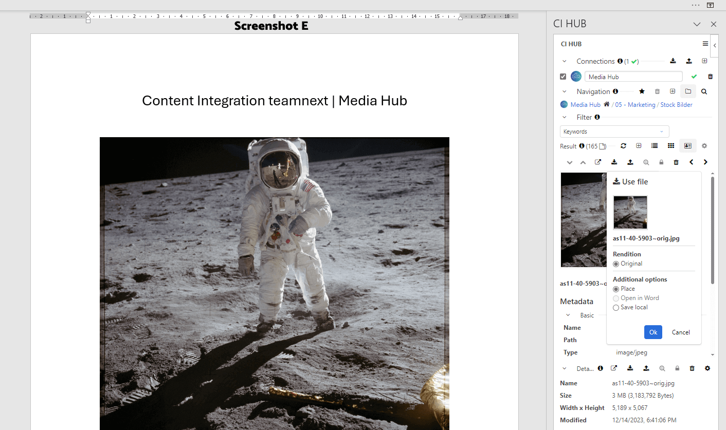 Screenshot: CI HUB Plugin in Microsoft Word