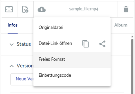 Screenshot Download-Menü im Media Hub Backend