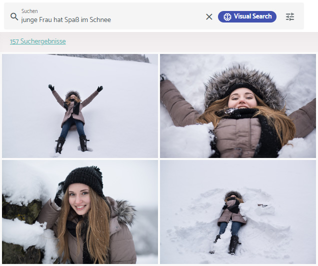 Screenshot - Suchergebnisse mit der Visual Search