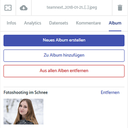 Screenshot: Reiter für Alben in den Mediendetails (rechte Seitenleiste)