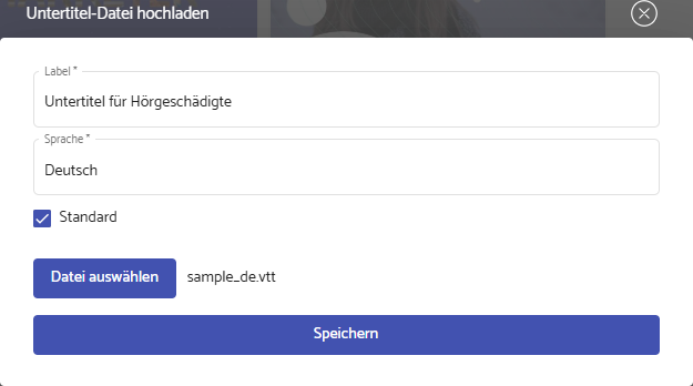 Untertitelspur hochladen Screenshot: Untertitelspuren hochladen